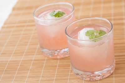 Grapefruit Gin & Tonic Cocktail Recipe