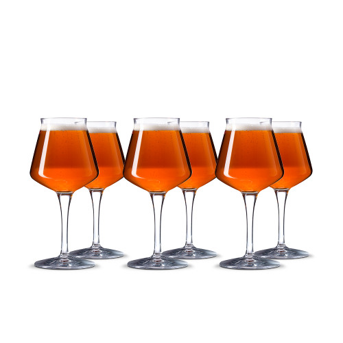 Rastal Mini Teku Stemmed Beer Glasses - 11.2 oz - Set of 6