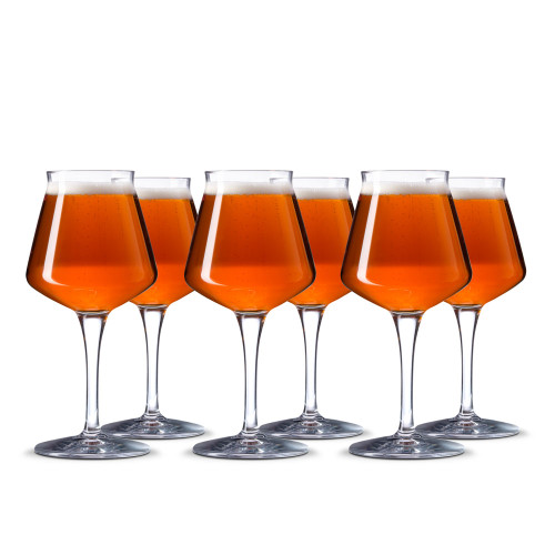 Rastal Teku Stemmed Beer Glasses - 14.2 oz - Set of 6